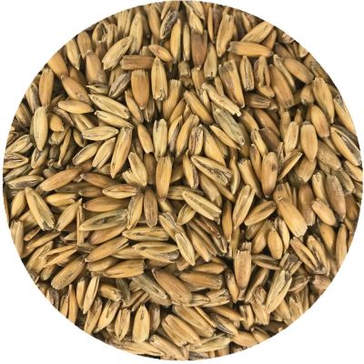 Słód owsiany Viking Malt 1 kg – słód specjalny zwiększający gładkość, pełnię i kremową teksturę piwa