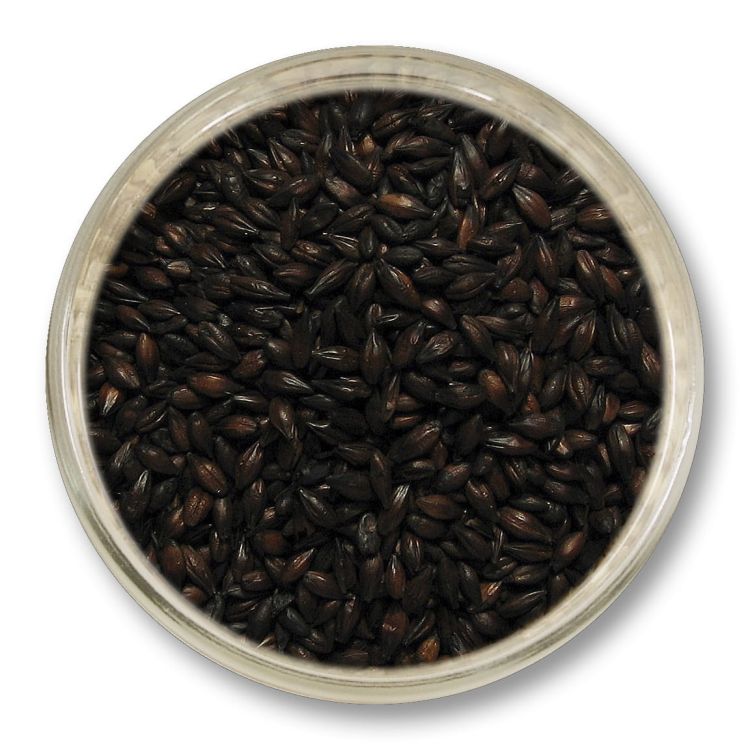 Słód kawowy 350–450 EBC Viking Malt 1 kg – słód specjalny o intensywnych nutach kawy i czekolady do warzenia ciemnych piw