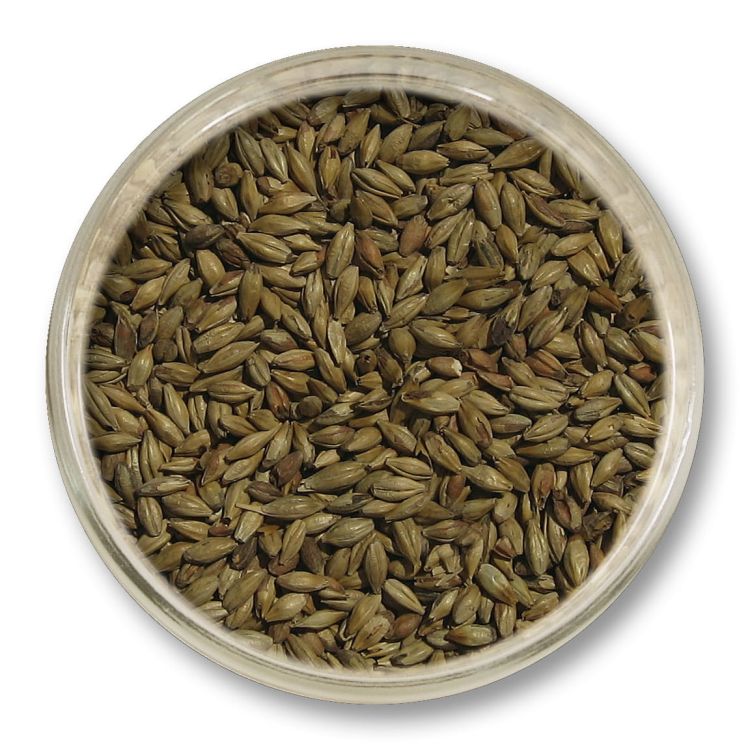 Słód CaraBody 1 kg Viking Malt – słód specjalny do zwiększania treściwości, pełni i stabilności piany w piwie