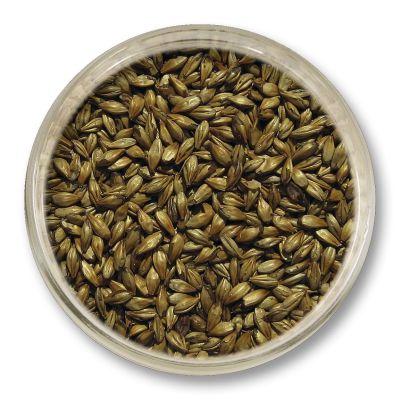 Słód karmelowy 100 EBC Viking Malt 1 kg – słód specjalny nadający bursztynową barwę i karmelowy smak piwu