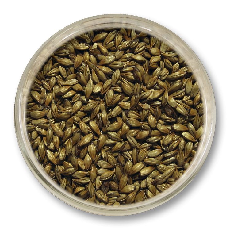Słód karmelowy 200 EBC Viking Malt 1 kg – słód specjalny nadający intensywną barwę i karmelowy aromat piwu