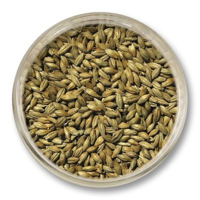 Słód Red Ale Viking Malt 1 kg – słód melanoidynowy nadający głęboką barwę i nuty orzechowe w piwie