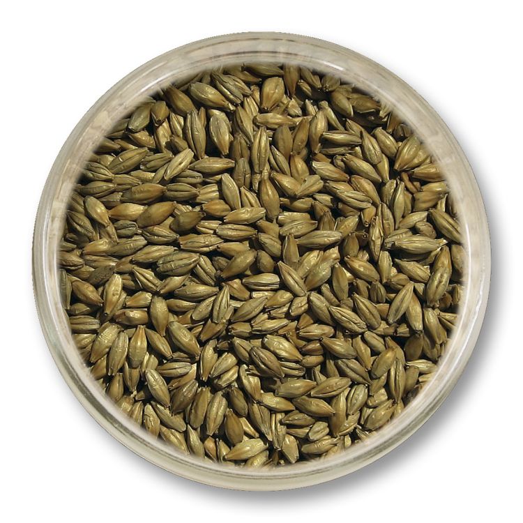 Słód dekstrynowy Viking Malt 1 kg – słód specjalny zwiększający pełnię, treściwość i trwałość piany w piwie