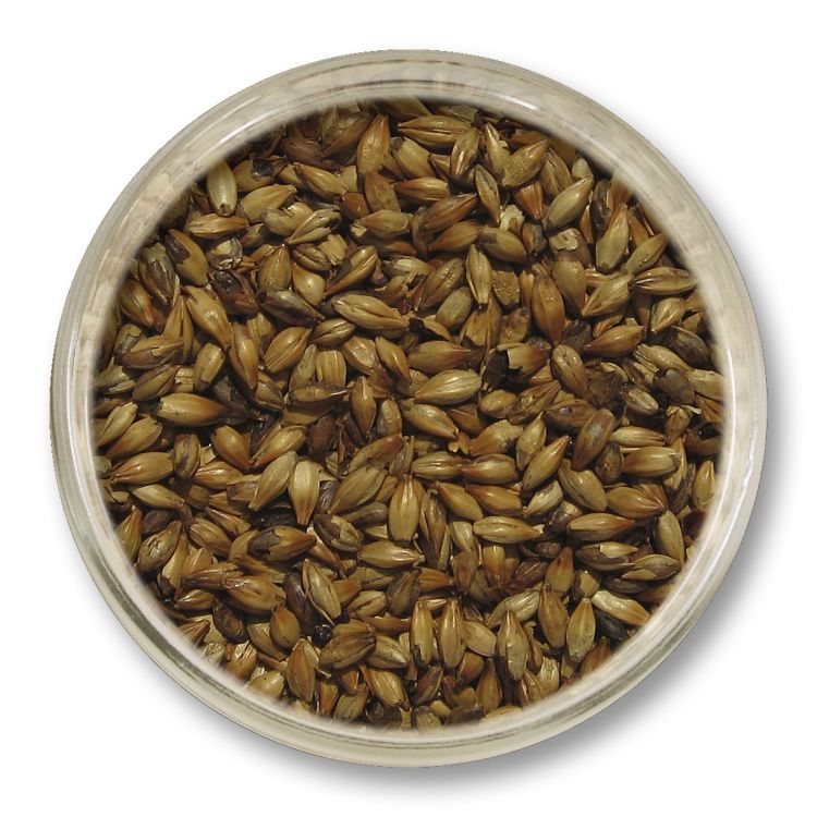 Słód karmelowy 50 EBC Viking Malt 1 kg – słód specjalny o nutach toffi i orzecha, zwiększa pełnię i ciało piwa