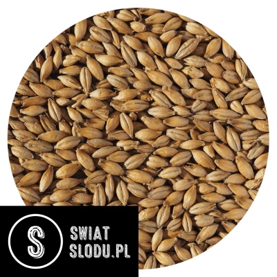 Słód Pale Ale Pilzneński Crisp 5 kg – uniwersalny słód bazowy do warzenia piwa o jasnej barwie i czystym profilu