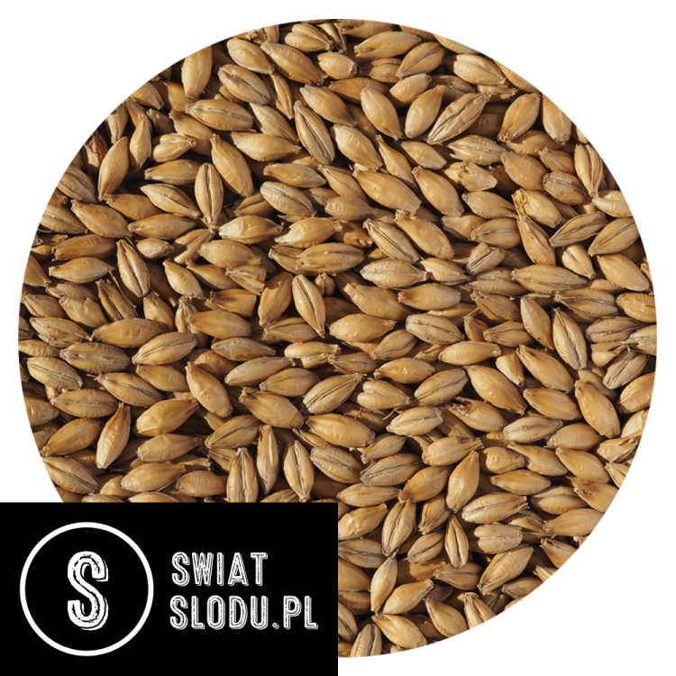 Słód Pale Ale Pilzneński Crisp 5 kg – uniwersalny słód bazowy do warzenia piwa o jasnej barwie i czystym profilu