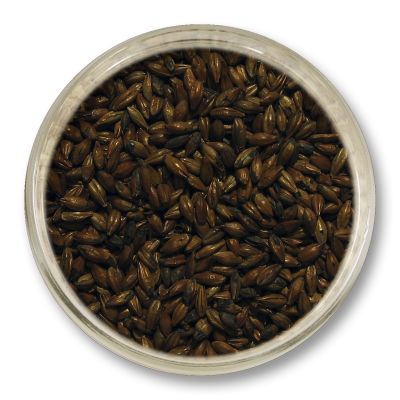 Słód karmelowy 700 EBC Viking Malt 1 kg – bardzo ciemny słód specjalny nadający głęboką barwę i intensywny karmelowy charakter piwu