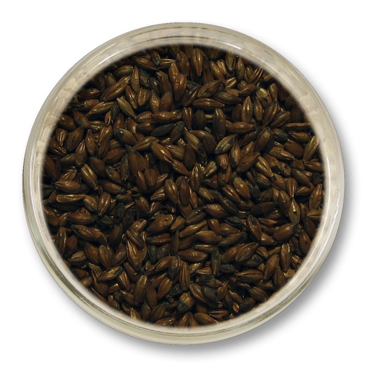 Słód karmelowy 700 EBC Viking Malt 1 kg – bardzo ciemny słód specjalny nadający głęboką barwę i intensywny karmelowy charakter piwu